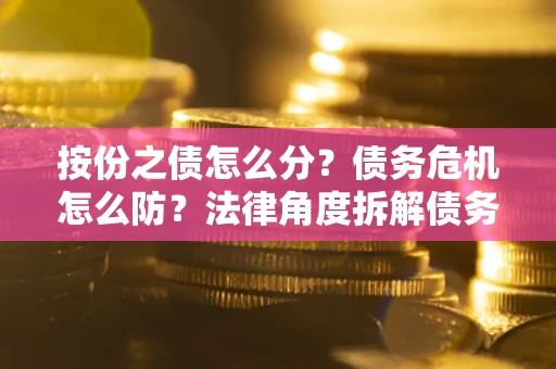 武汉按份之债怎么分？债务危机怎么防？法律角度拆解债务分配与风险自保指南
