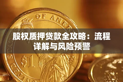 武汉股权质押贷款全攻略：流程详解与风险预警