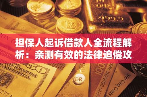 武汉担保人起诉借款人全流程解析：亲测有效的法律追偿攻略