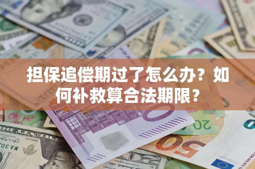 武汉担保追偿期过了怎么办？如何补救算合法期限？