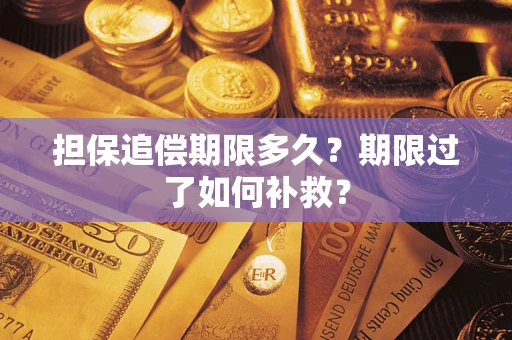 武汉担保追偿期限多久？期限过了如何补救？