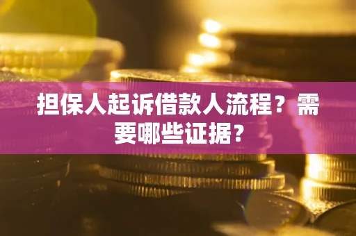 武汉担保人起诉借款人流程？需要哪些证据？
