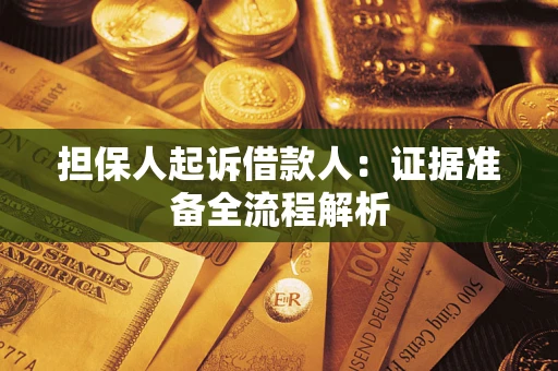 武汉担保人起诉借款人：证据准备全流程解析
