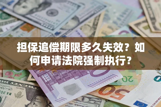武汉担保追偿期限多久失效？如何申请法院强制执行？