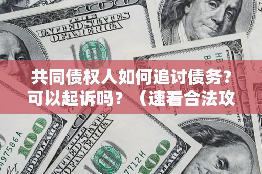 武汉共同债权人如何追讨债务？可以起诉吗？（速看合法攻略）