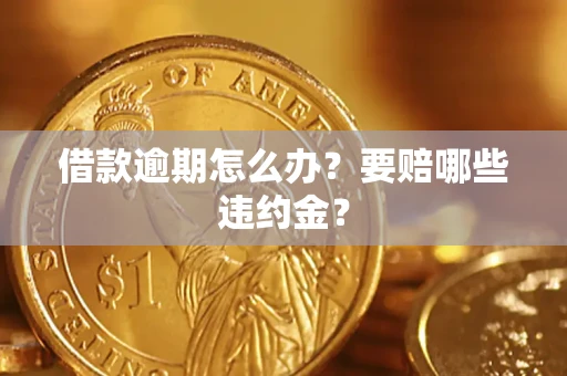 武汉借款逾期怎么办？要赔哪些违约金？