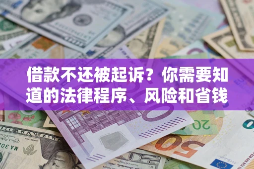 武汉借款不还被起诉？你需要知道的法律程序、风险和省钱技巧