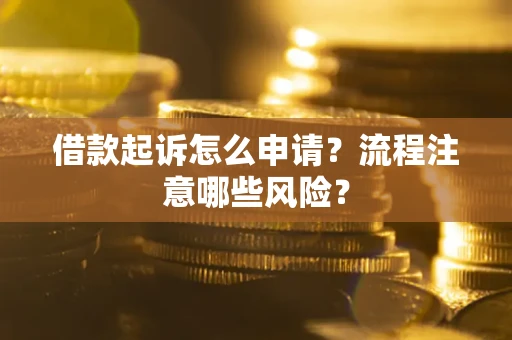 武汉借款起诉怎么申请？流程注意哪些风险？
