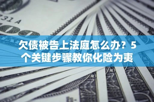 武汉欠债被告上法庭怎么办？5个关键步骤教你化险为夷