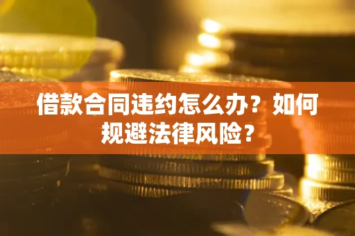 武汉借款合同违约怎么办？如何规避法律风险？