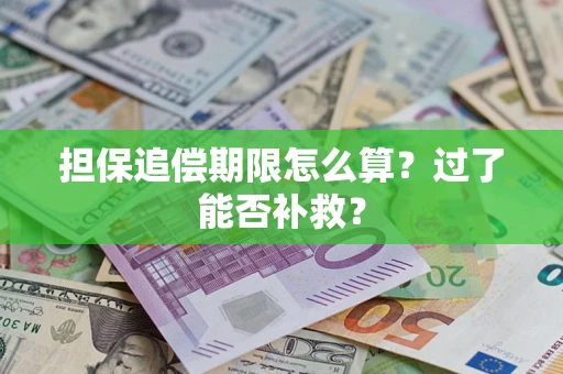 武汉担保追偿期限怎么算？过了能否补救？